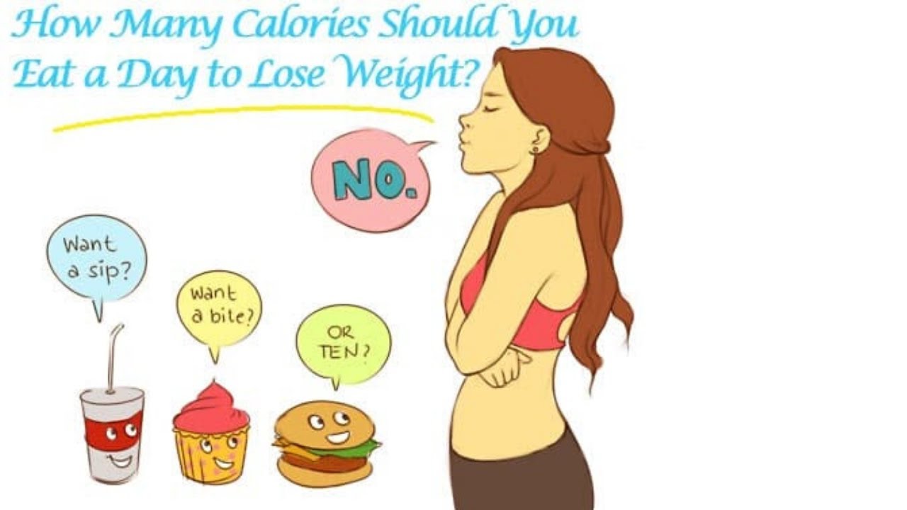 How Many Calories Should You Eat By Day For Weight Loss Naturopath Adelaide Naturopathy Clinic Adelaide Renew Health
